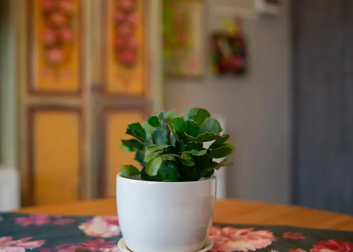 U Olechny * Bydgoszcz